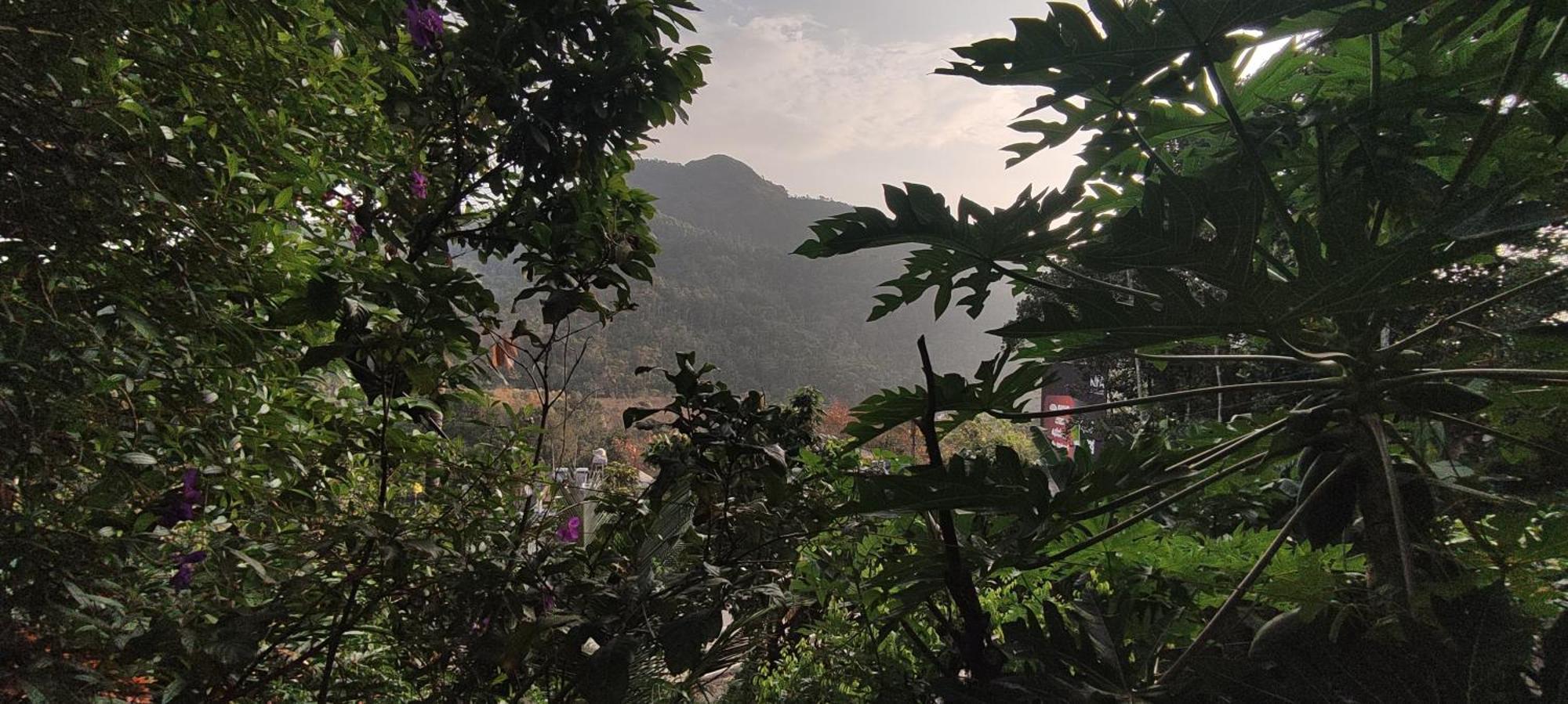 Koonamparayil Home Stay Munnar Anaviratty-Family Only Eksteriør bilde