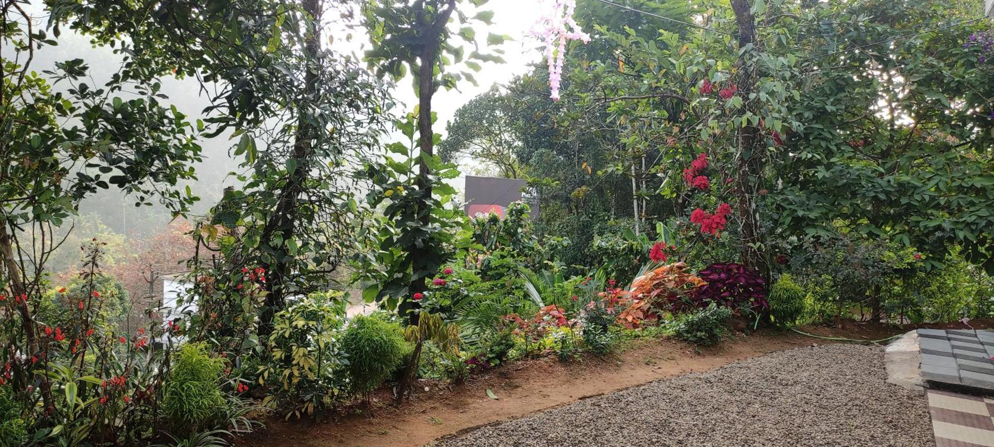 Koonamparayil Home Stay Munnar Anaviratty-Family Only Eksteriør bilde