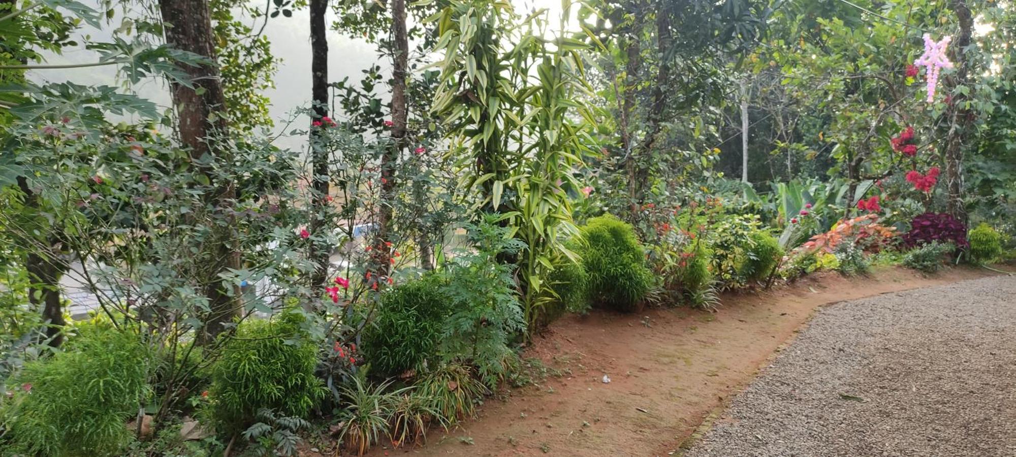 Koonamparayil Home Stay Munnar Anaviratty-Family Only Eksteriør bilde