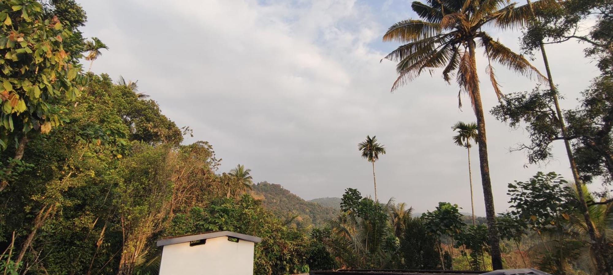 Koonamparayil Home Stay Munnar Anaviratty-Family Only Eksteriør bilde